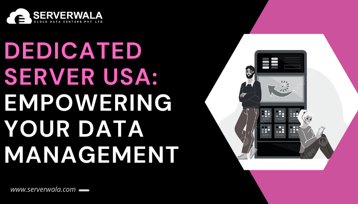Dedicated Server USA: Empowering Your Data Management